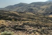 آتش‌سوزی مزارع و مراتع میانج پس از چند ساعت مهار شد
