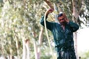 شرجی ۹۴ درصدی هندیجان را فرا گرفت
