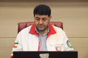 کولیوند: اربعین بزرگ‌ترین عملیات داوطلبانه و سلامت‌محور جهان است