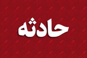 ورود الاغ به آزادراه قزوین–رشت ۹ خودرو را به هم کوبید 
