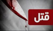 پدر سنگدل با همدستی پسرش همسر و دختر ۸ ساله‌اش را کشت