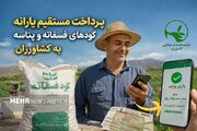 پرداخت مستقیم یارانه کودهای فسفاته و پتاسه به کشاورزان آغاز شد