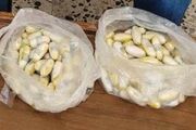 کشف ۲.۳ کیلوگرم هروئین در خوسف؛ یک متهم دستگیر شد