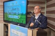 گل محمدی: سالانه ۱۸ میلیون مترمکعب آب با ضایعات برنج هدر می رود