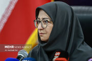 انصاری: عزم ملی برای مقابله با ریزگردها ضروری است