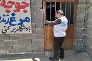 مراکز غیرمجاز عرضه مرغ زنده در منطقه مزدک بویراحمد مهر و موم شد