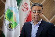 محمدی: بارگیری محصولات چوبی بدون اخذ مجوز الکترونیکی ممنوع است