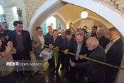 اولین بوتیک هتل سنتی در دزفول به بهره برداری رسید