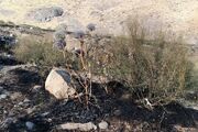 آتش‌سوزی مراتع هامپوئیل مراغه با تلاش نیروهای امدادی و اهالی مهار شد