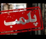 ۱۳ واحد صنفی متخلف در بوشهر پلمب شد