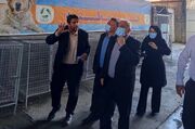 زندی: ساماندهی سگ‌های بلاصاحب سنندج باید بر مبنای اصول علمی انجام شود