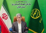 محمدی: سالانه ۶.۶ میلیون تن محصول کشاورزی در گیلان تولید می‌شود