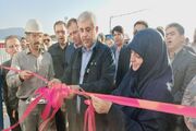 سعیدی: فرش قرمز جنوب کرمان برای سرمایه گذاران پهن است