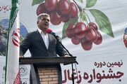 ضرورت تکمیل زنجیره ارزش زغال‌اخته کلیبر برای توسعه روستاهای ارسباران