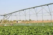 توسعه سامانه‌های نوین آبیاری در اولویت جهاد کشاورزی است