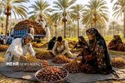 فصل هامین در بلوچستان؛ روایت همدلی مردمان بلوچ