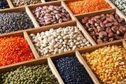 حبوبات در میادین تره‌بار تهران ارزان تر است