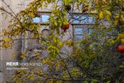 روستاهای یزد؛ ظرفیتی فراتر از سکونت برای گردشگری و اقتصاد محلی
