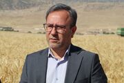 فعالیت ۱۹۷ داروخانه گیاه‌پزشکی در لرستان