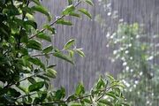 تداوم ناپایداری‌های جوی در کرمان؛ بارش‌های رگباری و تندباد در راه است