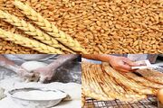 تشکیل ۱۰۰ پرونده تخلف در حوزه آرد و نان استان ایلام