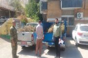 کشف محموله قاچاق گیاهان دارویی در خرم‌آباد