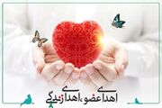 اهدای اعضای محیط‌بان لرستانی به چند بیمار زندگی دوباره بخشید