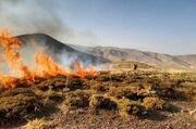 گودرزی: آتش‌سوزی در باغات روستای بیدک بجنورد مهار شد