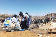 واکسیناسیون رایگان تب برفکی در مازندران؛ کمبود واکسن وجود ندارد