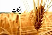 ۲۱۶ میلیارد تومان زکات در گلستان جمع‌آوری شد