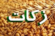 کازرونی: زکات انسان را از وابستگی به مال آزاد می‌کند