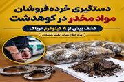 دستگیری ۲ خرده‌فروش مواد مخدر در کوهدشت