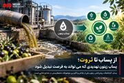 پساب زیتون؛ تهدید زیست‌ محیطی یا فرصتی برای خلق ثروت؟