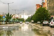 داداشی: بارش پراکنده باران در خراسان شمالی پیش‌بینی می‌شود