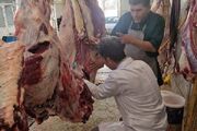 ایمانی‌سنجر: لاشه گاو مبتلا به سپتی‌سمی در سنقر امحا شد
