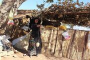 عشایر میان کوچ و بروکراسی؛ قوانین دست‌وپاگیر بر سر راه زندگی