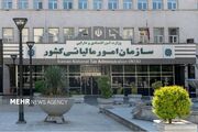 تحقق ۳۸ درصدی درآمدهای مالیاتی در شش ماه نخست سال ۱۴۰۵