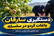 بیش از ۳۰۰ کیلوگرم گردوی سرقتی در سلسله کشف شد