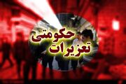 جودکی: ۲۴ هزار لیتر گازوئیل یارانه‌ای در شورآباد کشف شد