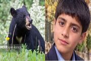 تعارض حیات وحش و انسان ها در جنوب کرمان؛ یک نوجوان توسط خرس کشته شد