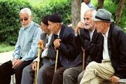۸.۵ درصد شهرستان دیّر سالمند هستند