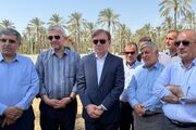 زارع: توسعه آبیاری نوین در نخیلات بوشهر از اولویت‌های استان است