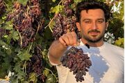 آشنایی با یکی از بزرگترین تولیدکنندگان نهال انگور موندراپ شناسه‌دار