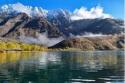 جهانی‌شدن «گهر»؛ پایان یک راه یا آغاز یک مسئولیت؟