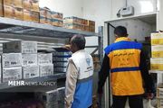 ۱۳ تن مواد غذایی فاسد در راسک معدوم شد