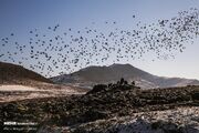 بحران پسماند در بجنورد؛ روایتی از یک فاجعه خاموش زیست‌محیطی