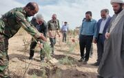 پویش نهال‌کاری به مناسبت روز ملی روستا و عشایر در روستای علا برگزار شد