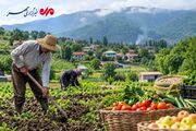 روستاها در خط مقدم امنیت غذایی؛ ظرفیت‌ هایی که باید تقویت شوند