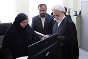 صالحی: زندانیان به دلیل عجز از تودیع وثیقه در اسرع وقت شناسایی شوند