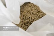 کارایی مصرف خوراک، ایمنی غذا و پایداری زیست‌محیطی را به همراه دارد